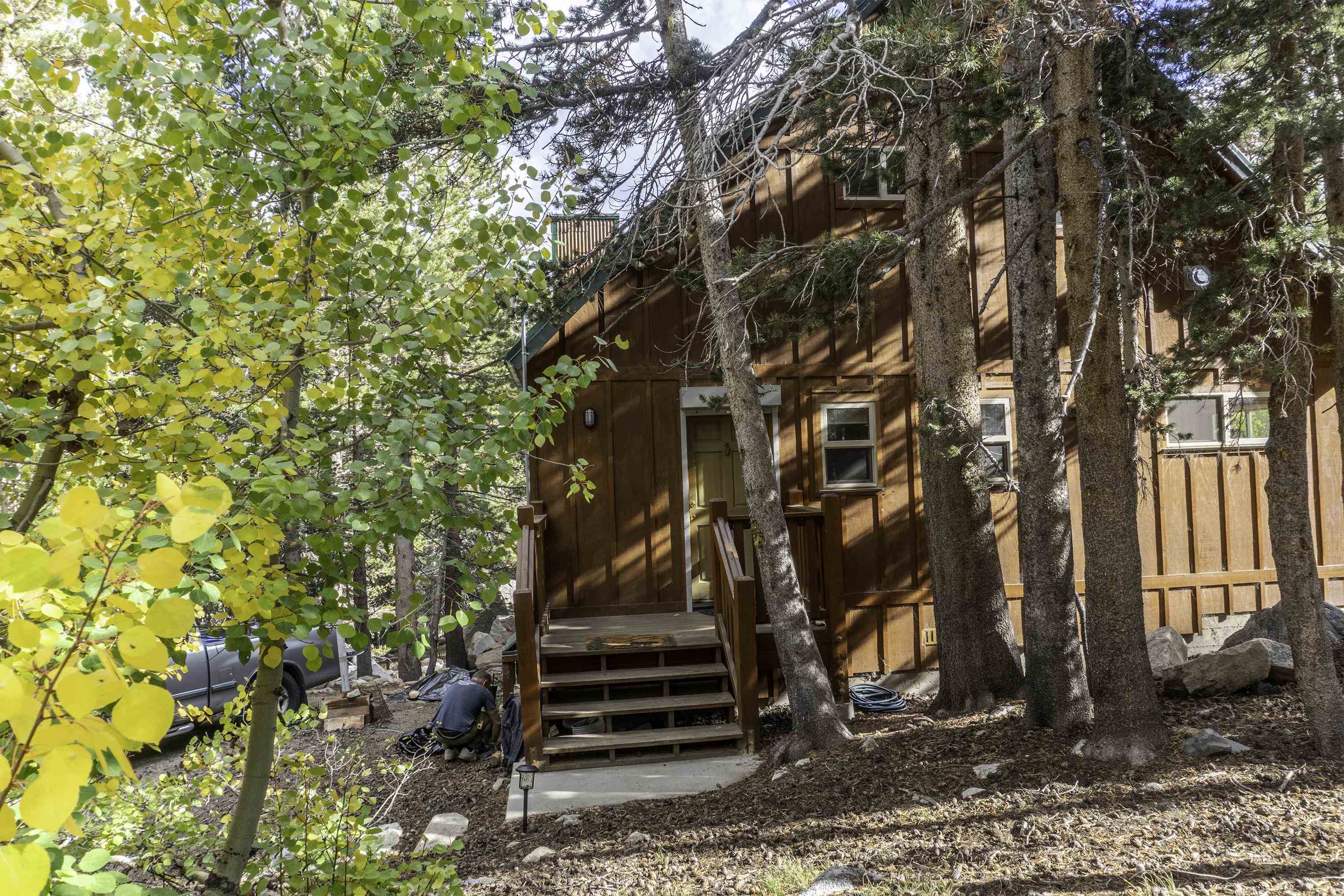 115 Pinecrest Drive