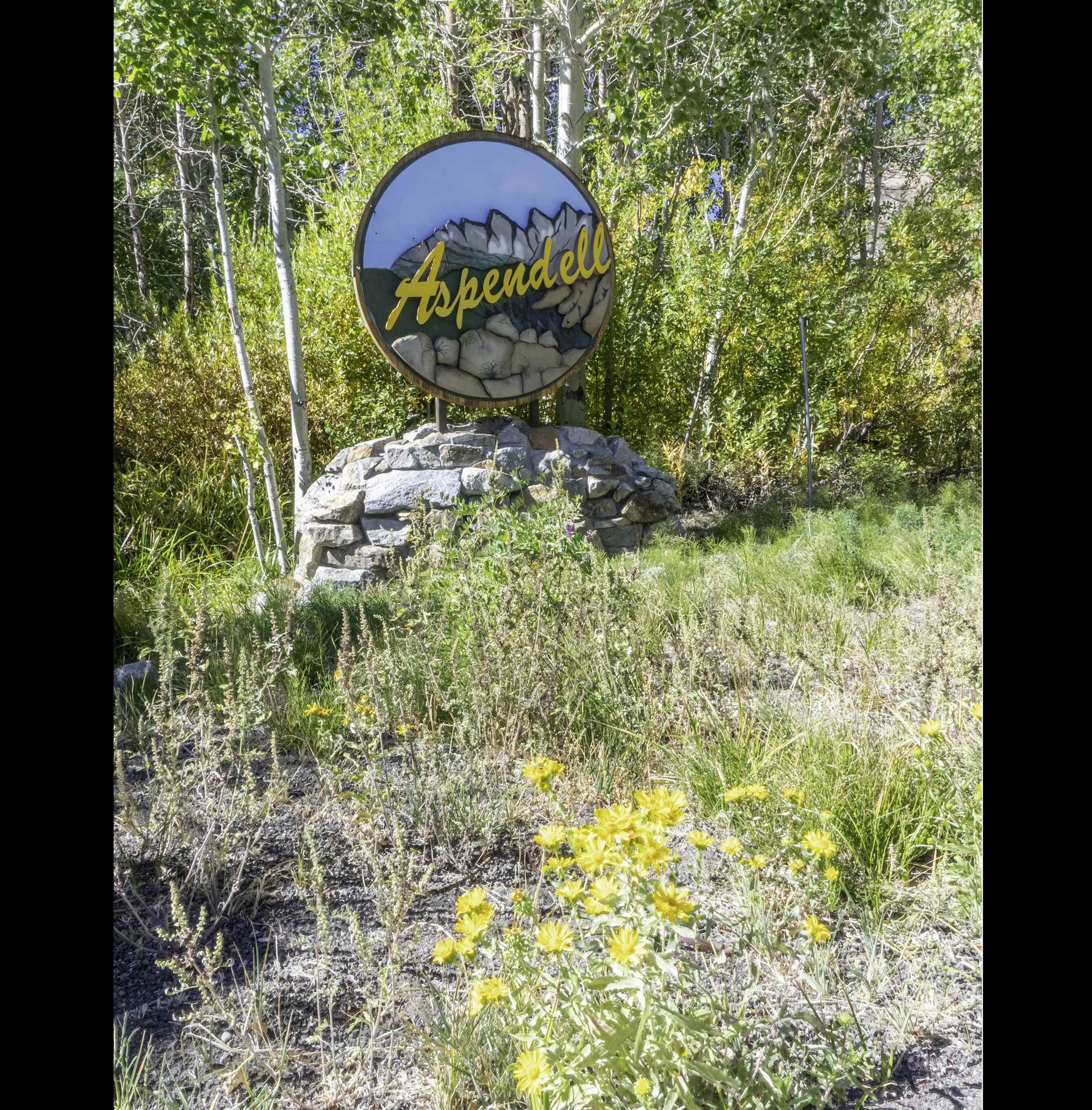 141 Sage Drive