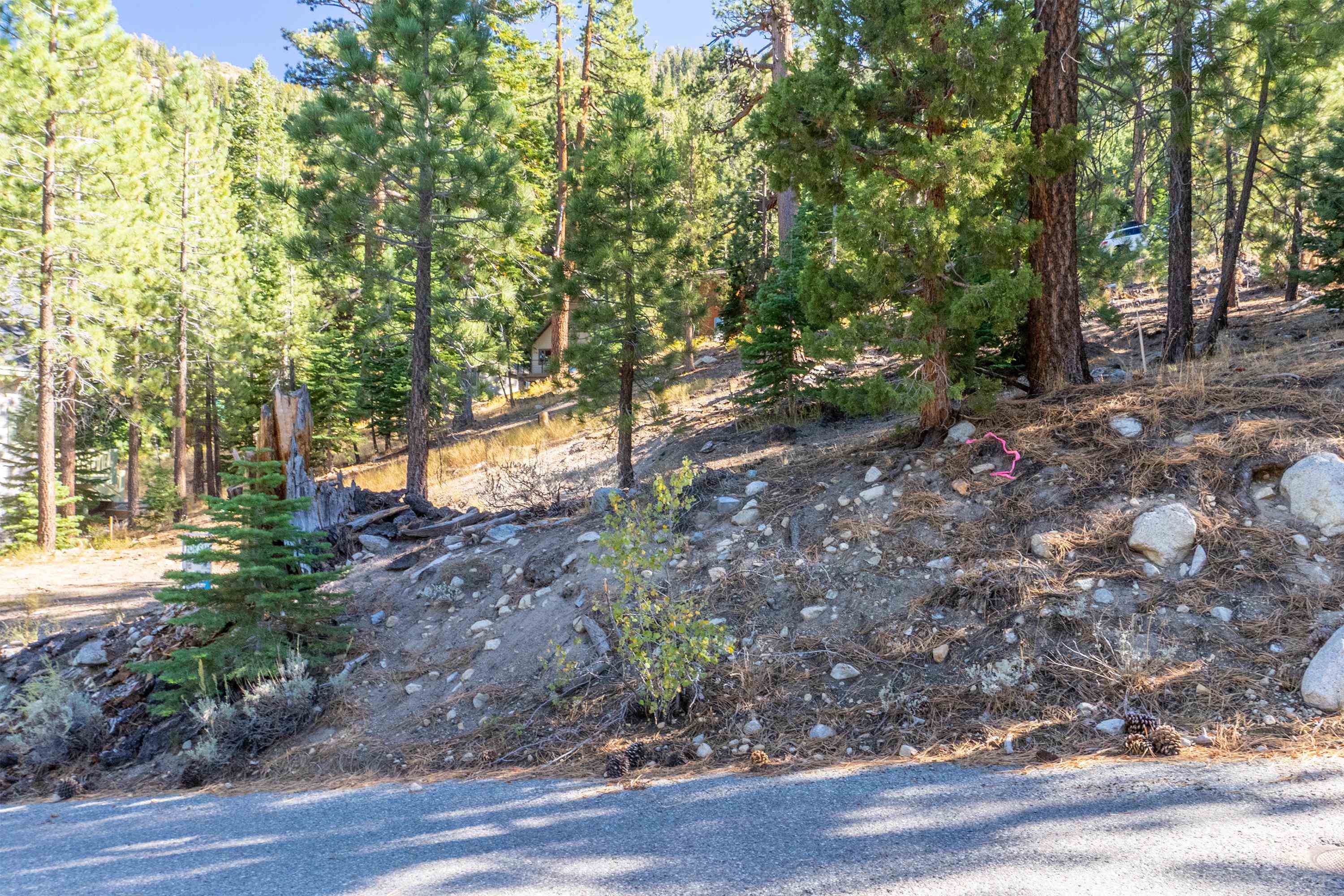 Rocky, wooded hillside lot beside a paved road, with a house partly visible among the pines.