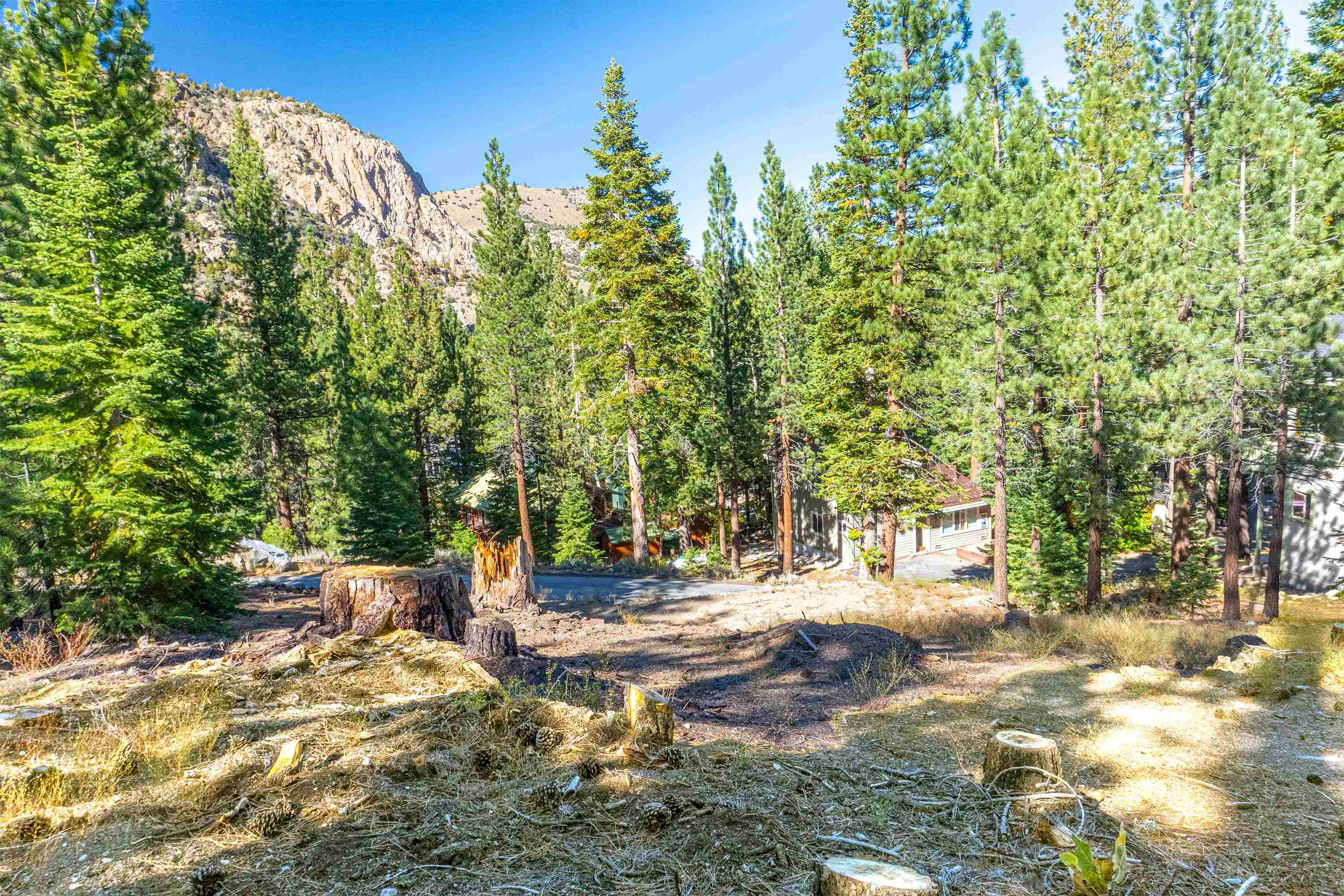 Cleared wooded lot with pine trees, nearby cabins, and a rocky mountain ridge.