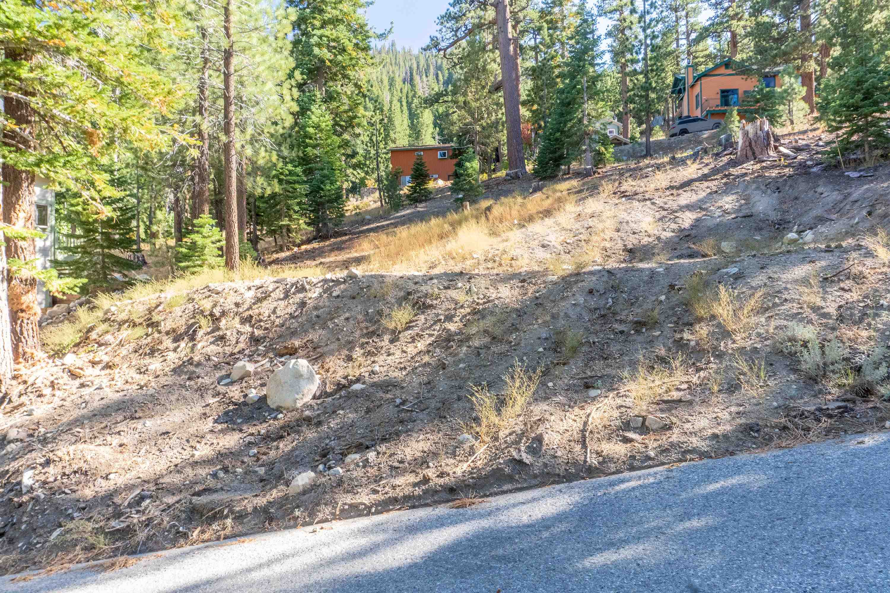 Steep rocky hillside lot beside a paved road, with pine trees and cabins on the slope.