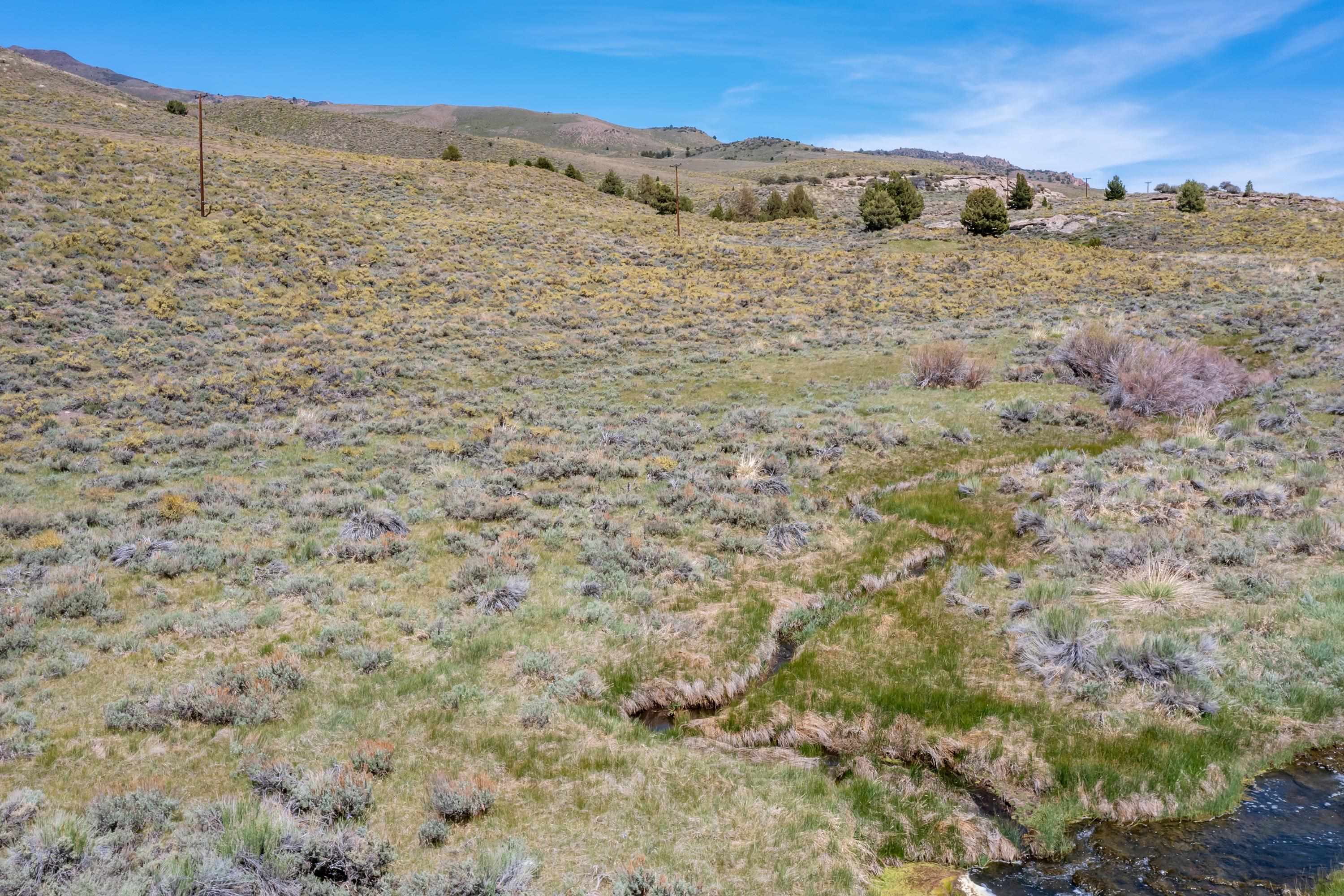 APN: 006-120-040-000, Hwy 395