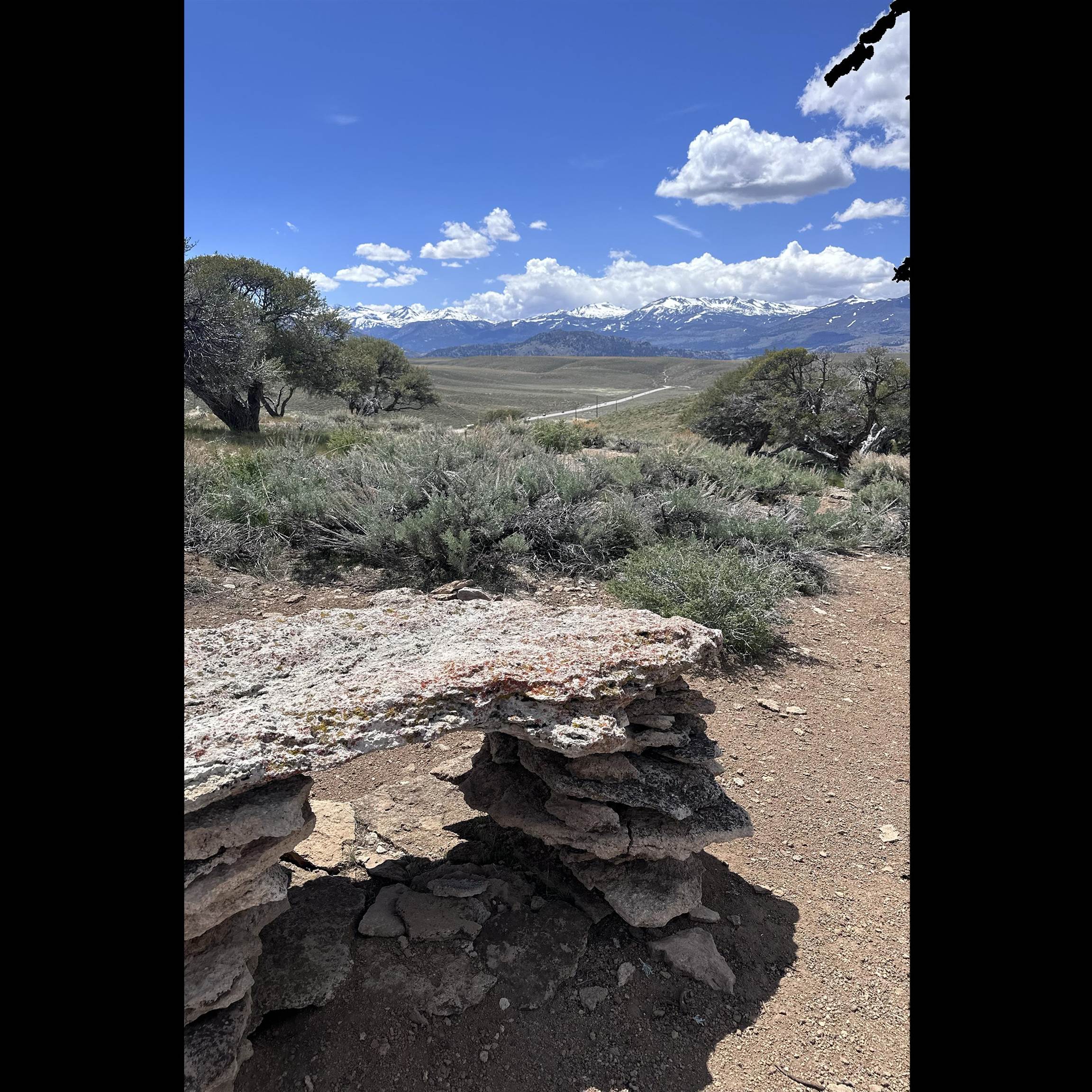 APN: 006-120-040-000, Hwy 395