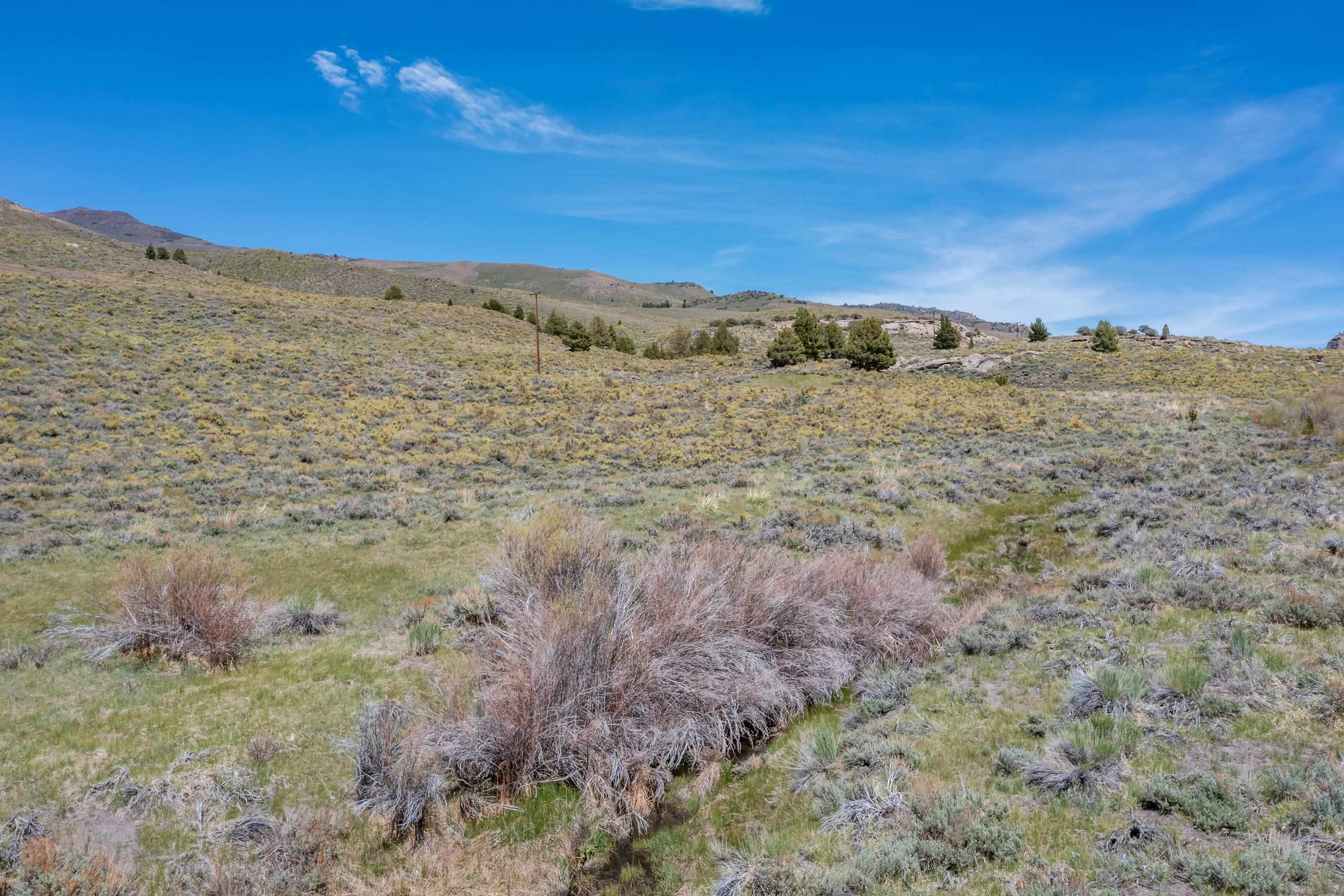 APN: 006-120-040-000, Hwy 395