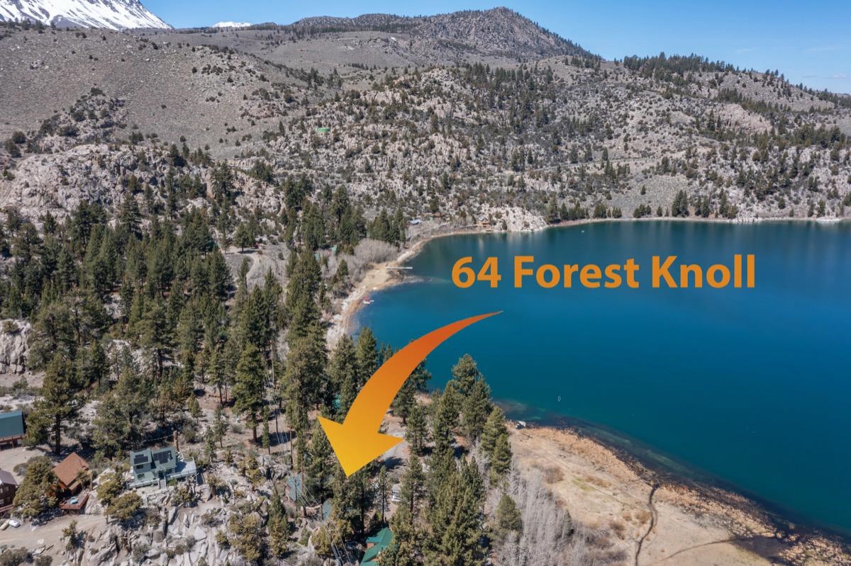 Aerial view of 64 Forest Knoll Road beside June Lake, marked by an orange arrow.