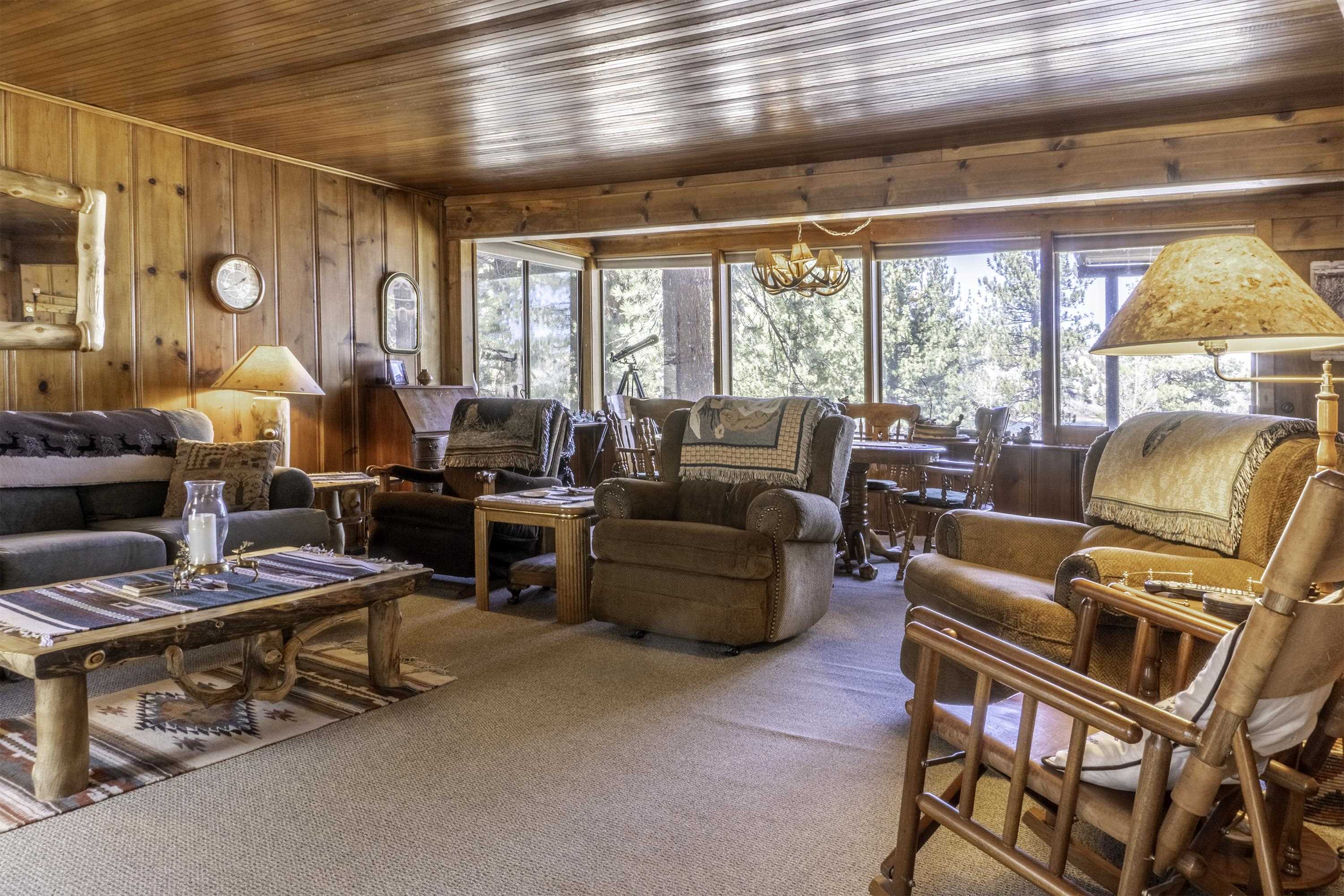 Wood-paneled living room with rustic seating and wide windows overlooking pine trees.