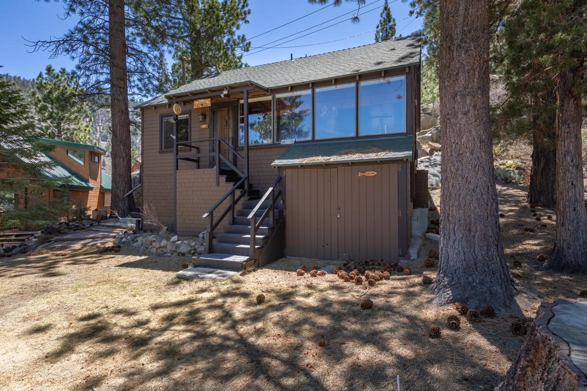 Brown cabin with broad front windows and exterior stairs among tall pine trees.
