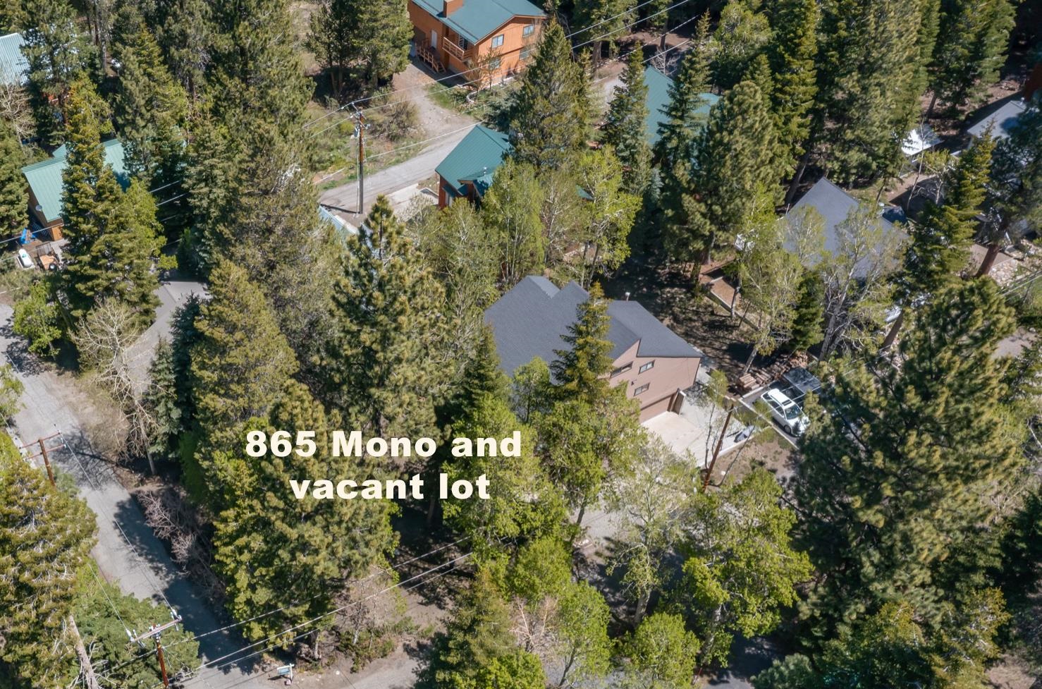865 Mono Drive