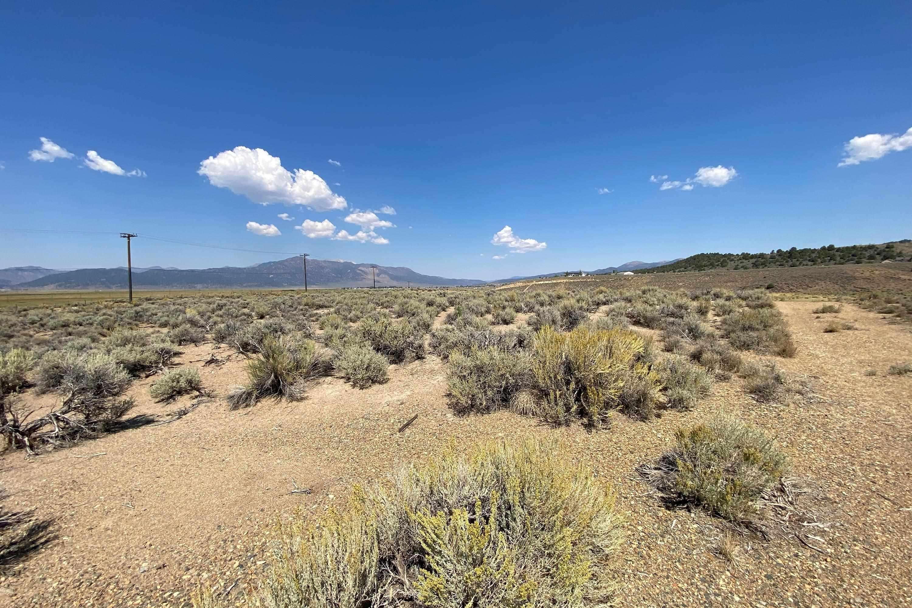APN:011-030-007 Hwy 395
