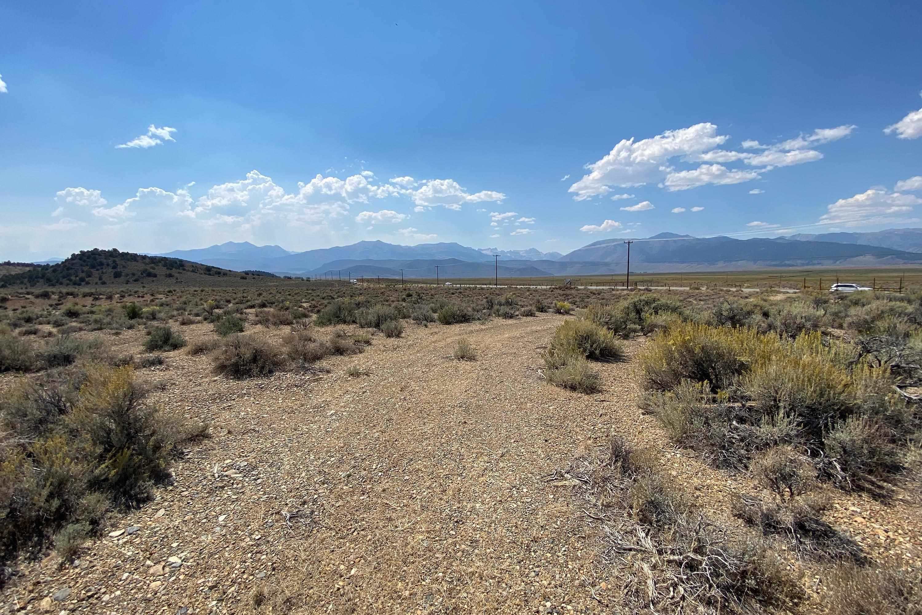 Open scrubland with a rocky track, utility poles, and distant mountains.