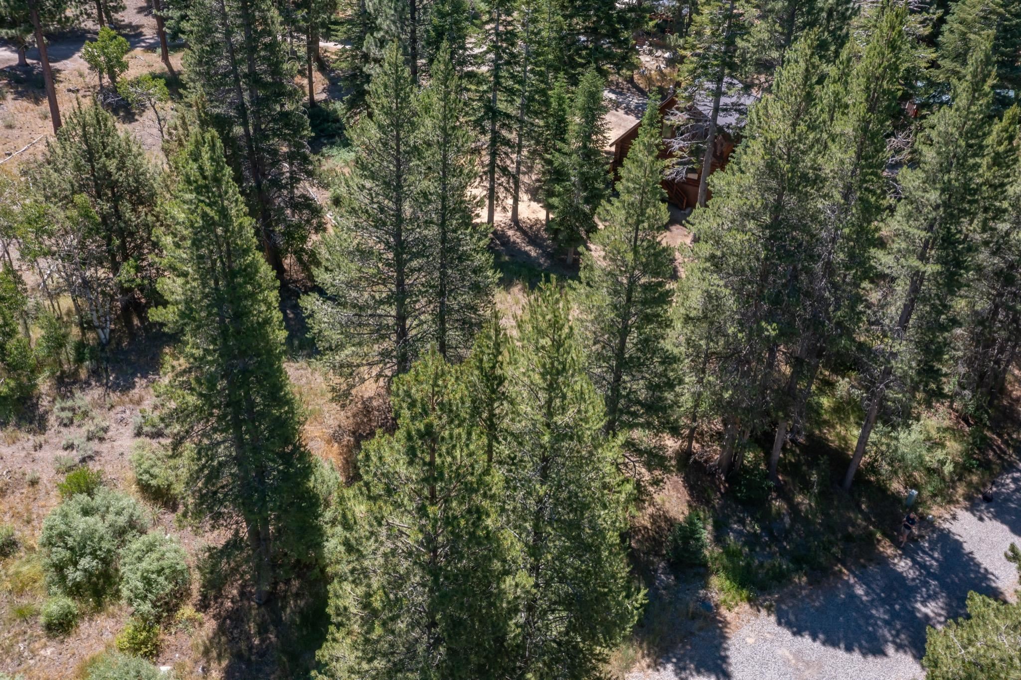 Unassigned Aspen Grove Lane