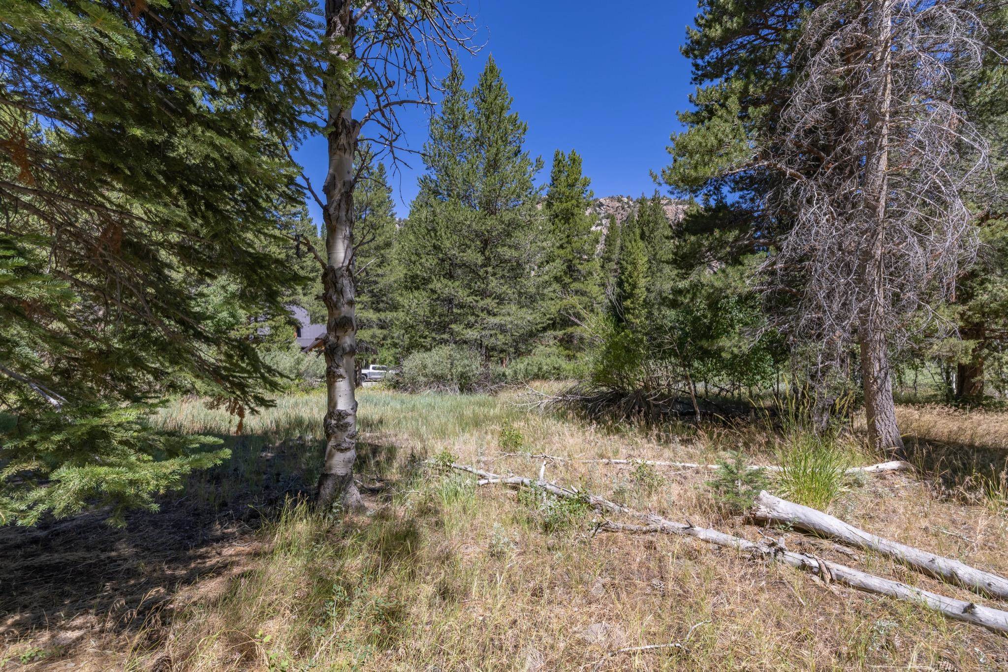 Unassigned Aspen Grove Lane