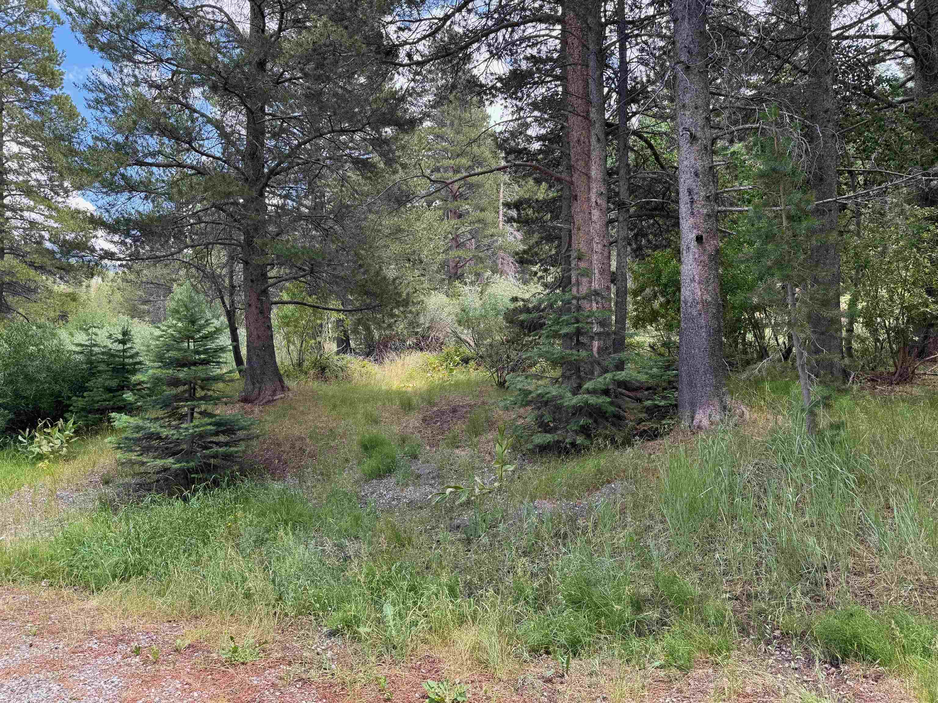 Unassigned Aspen Grove Lane