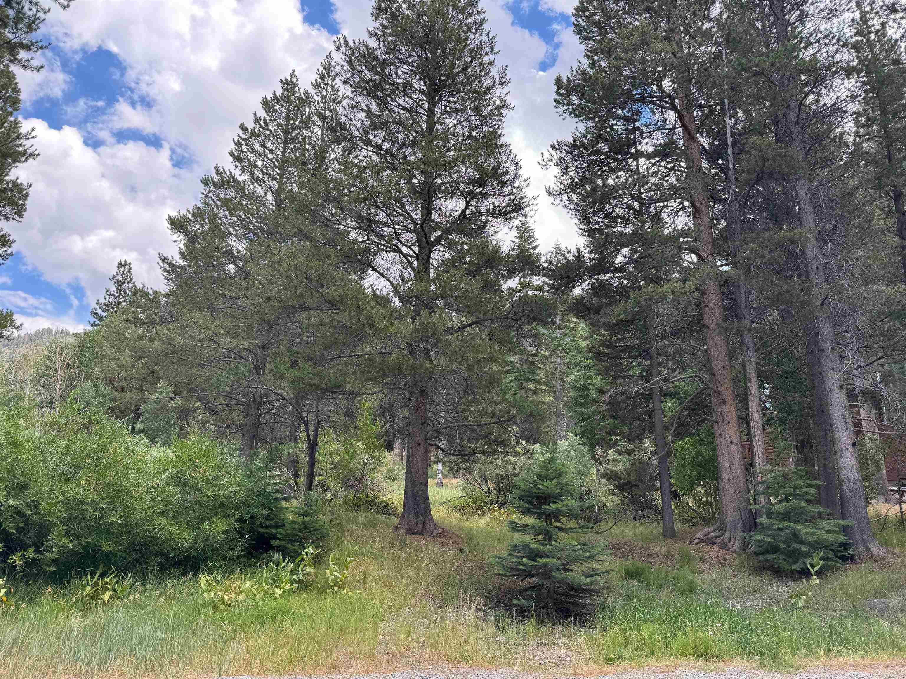 Unassigned Aspen Grove Lane