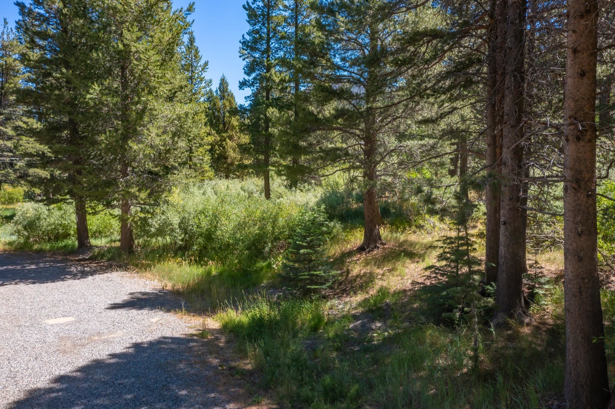 Unassigned Aspen Grove Lane