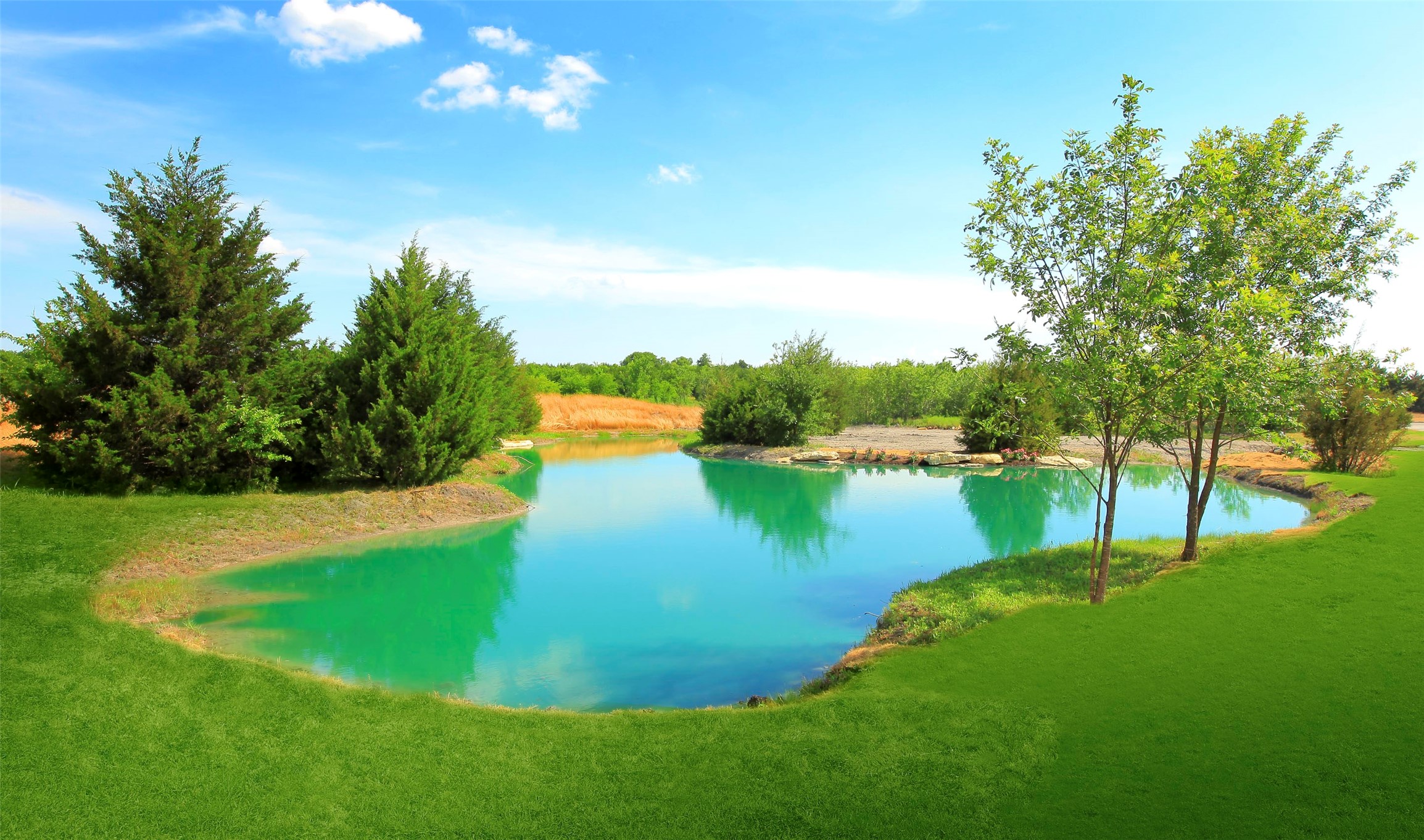 924 Wood Duck Court