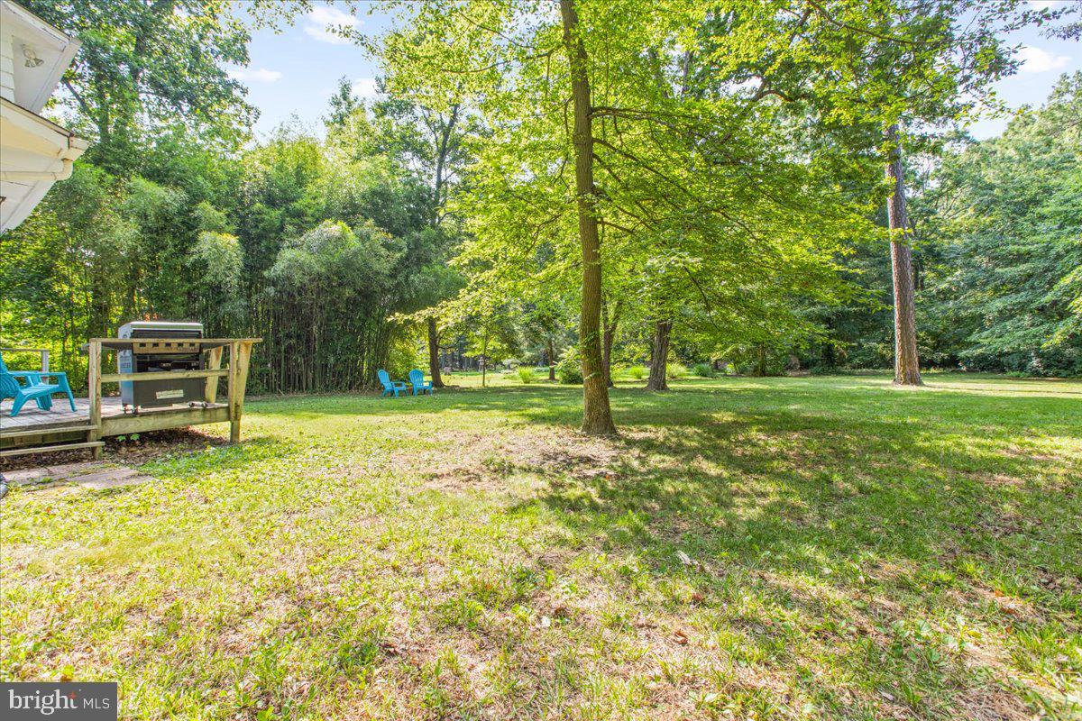 115 Woodmoor Rd