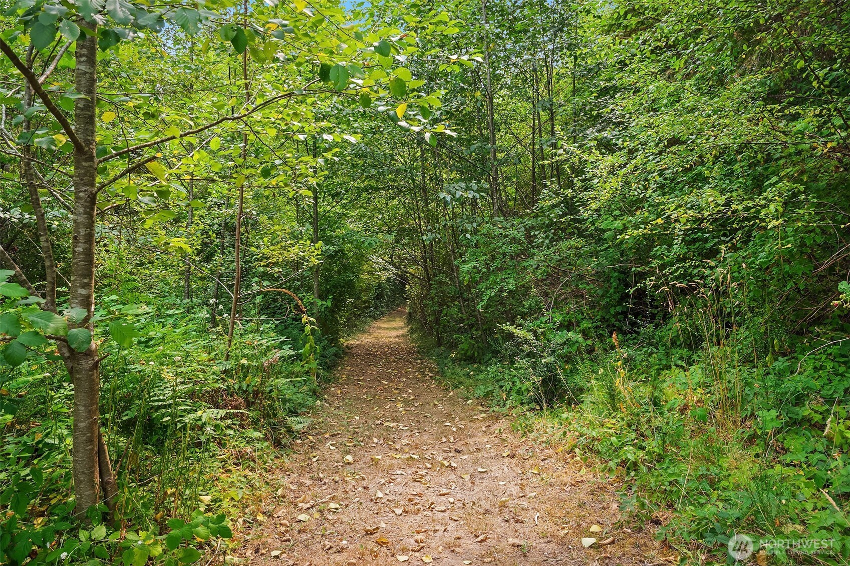 216 Cornwall Road NW Unit: 1