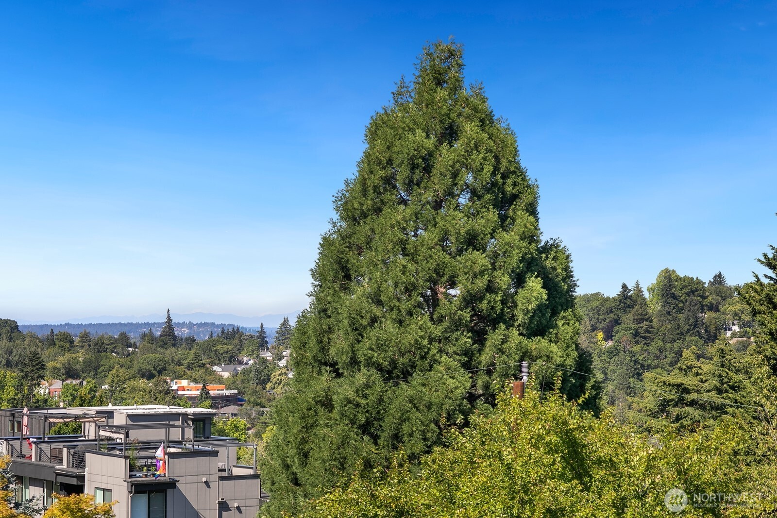 1823 26th Avenue Unit: B