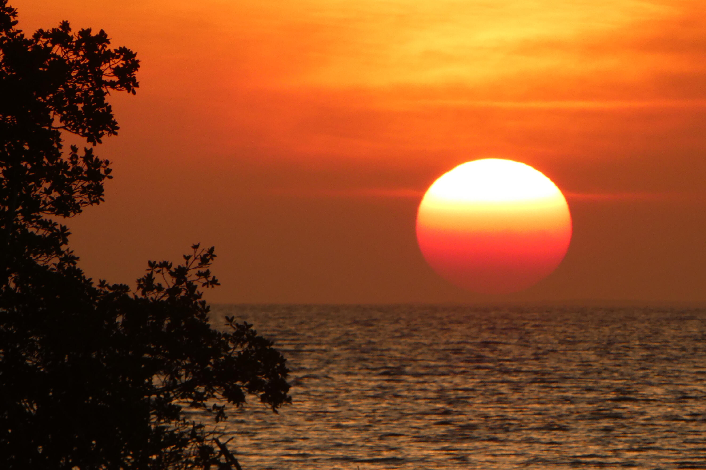 97652 Overseas Highway S11