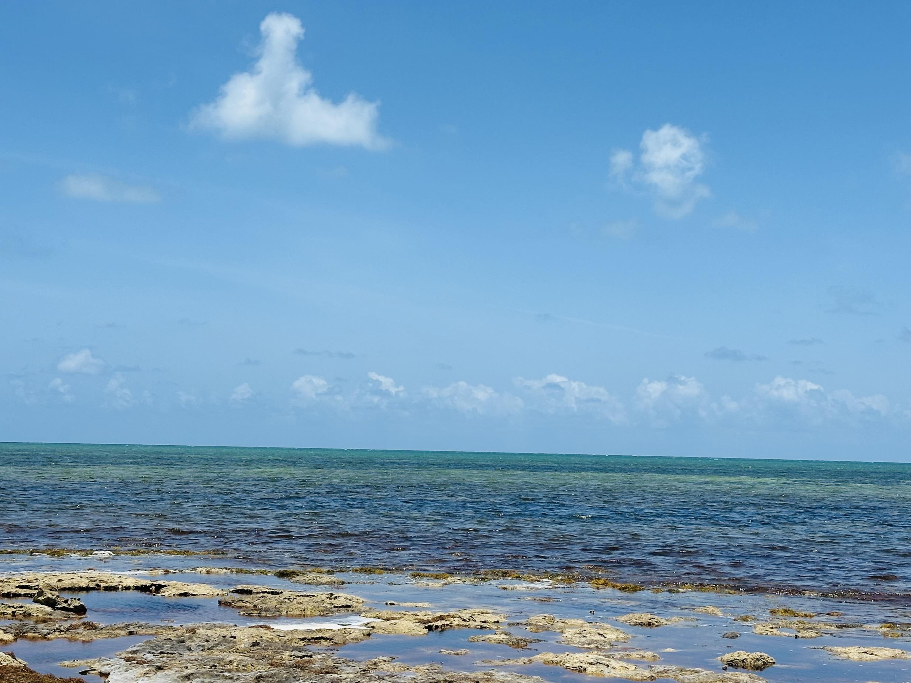 1W & 2W Cooks Island