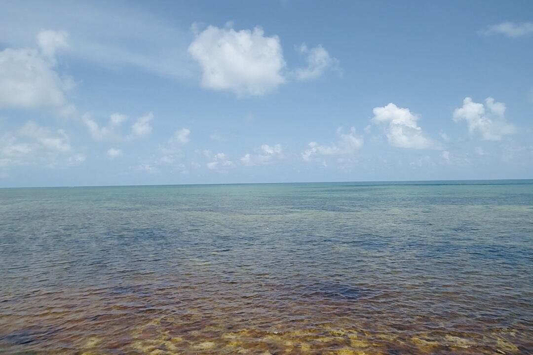 1W & 2W Cooks Island