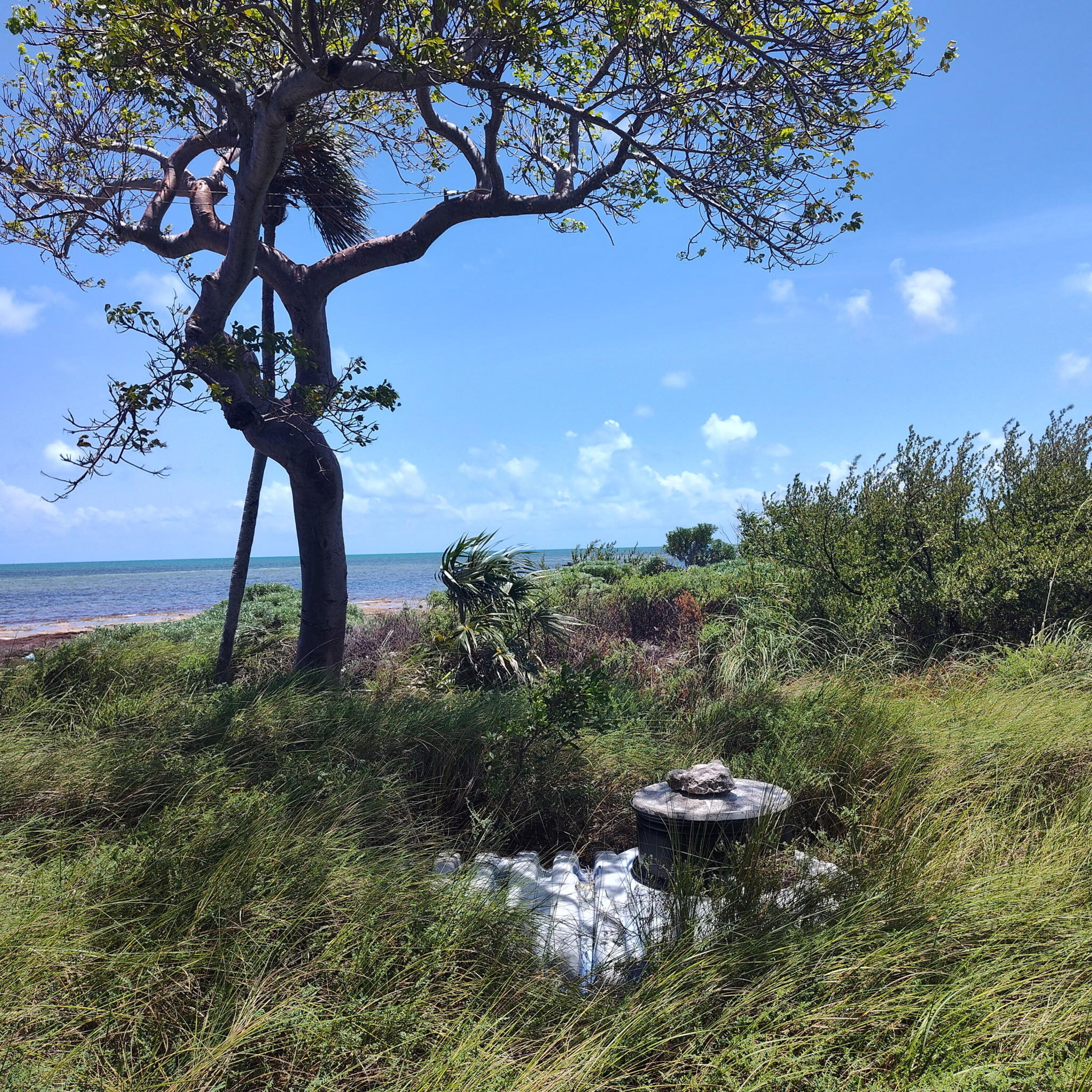 1W & 2W Cooks Island