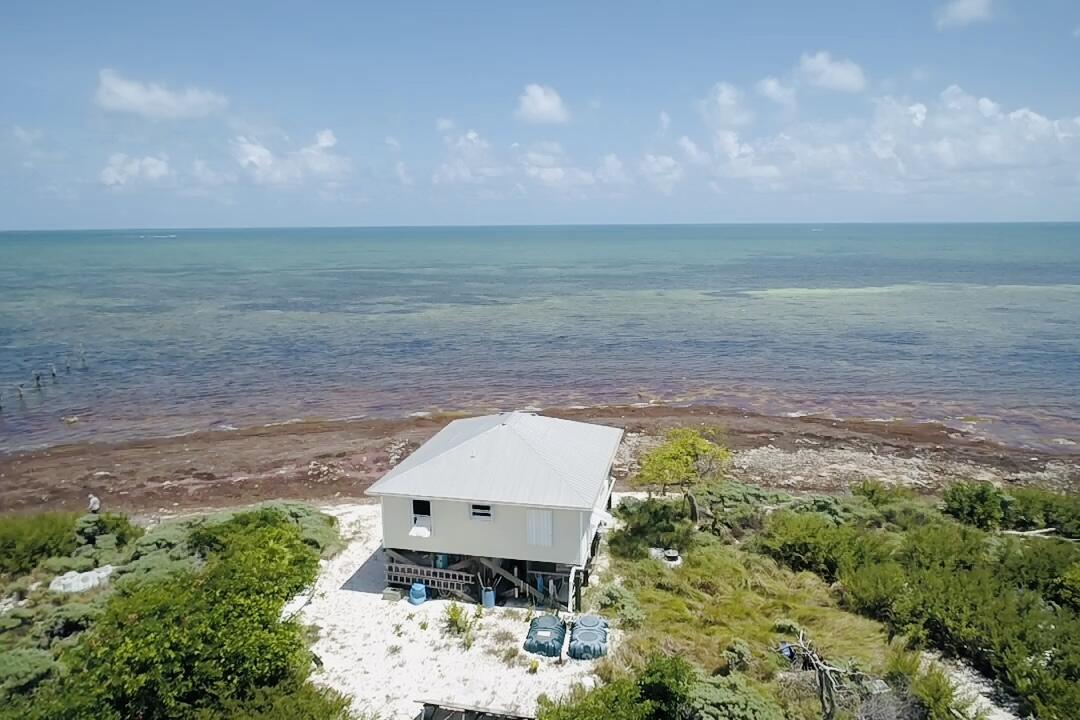 1W & 2W Cooks Island