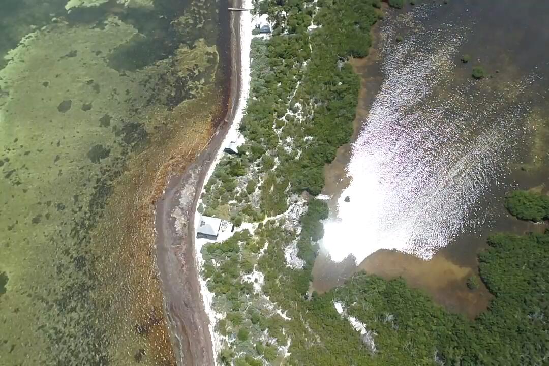 1W & 2W Cooks Island