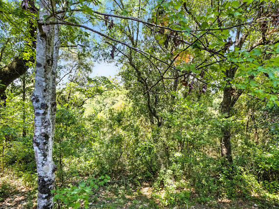 2409 Roberts Drive