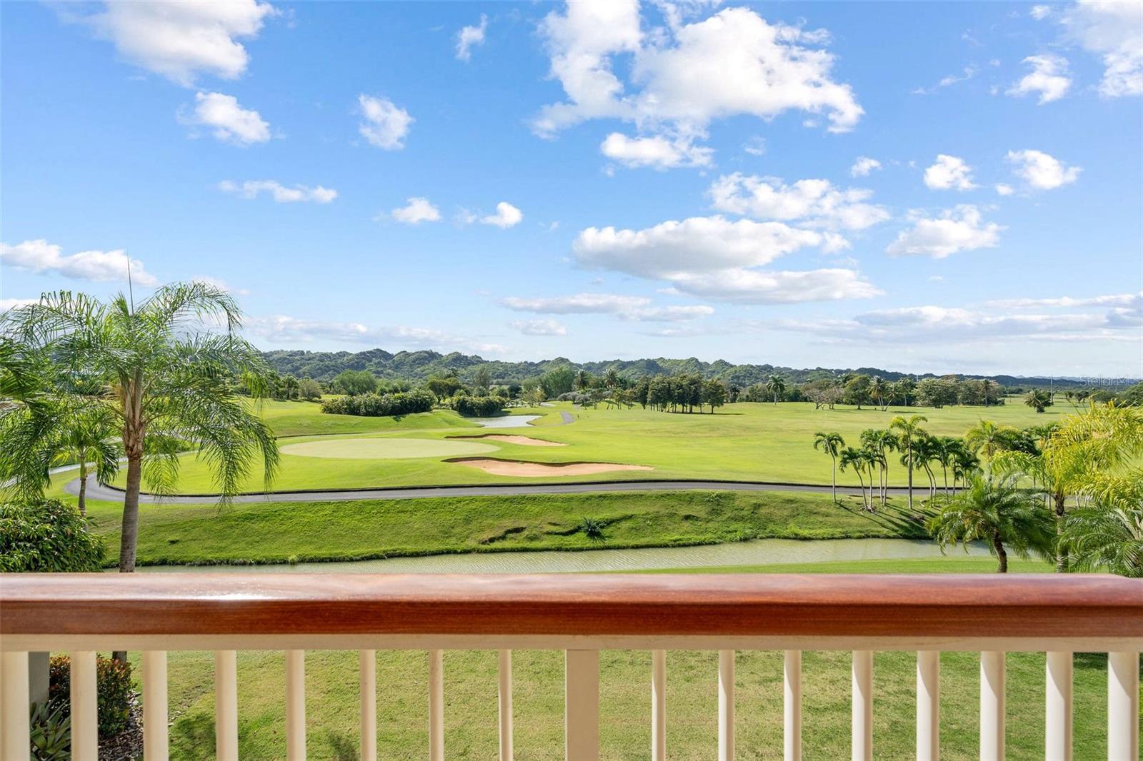 500 PLANTATION DRIVE #3206