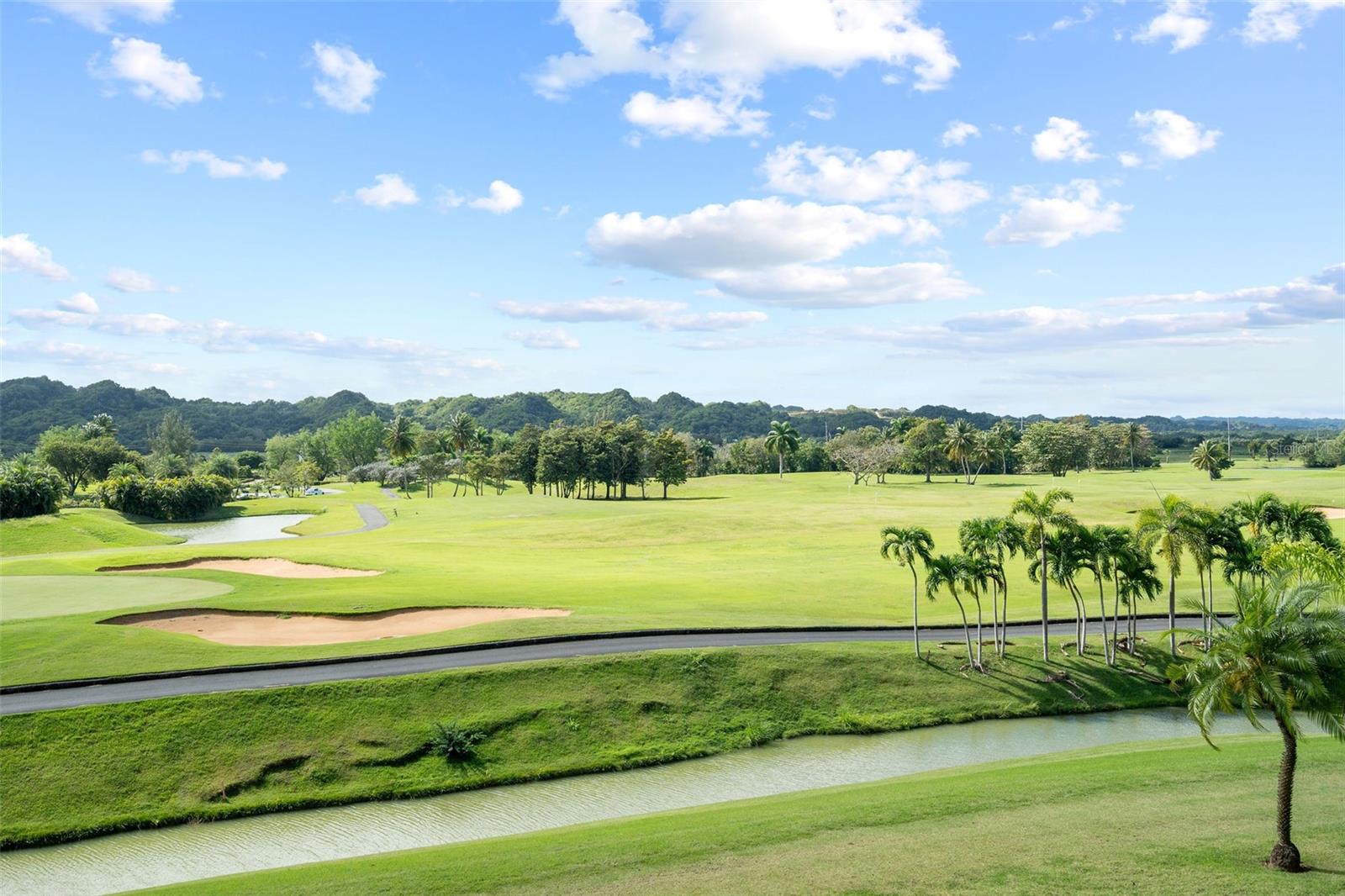 500 PLANTATION DRIVE #3206