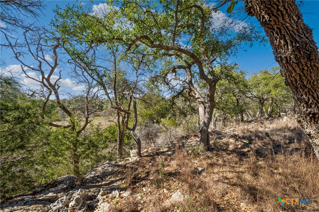 913 Cross Oak