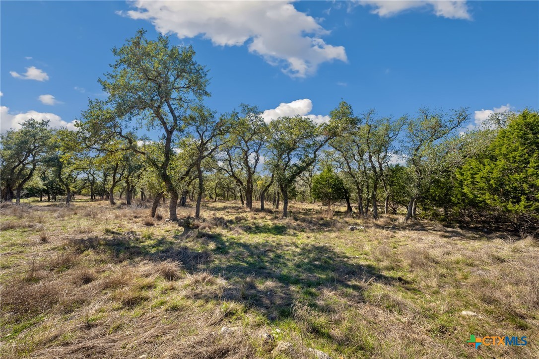 913 Cross Oak