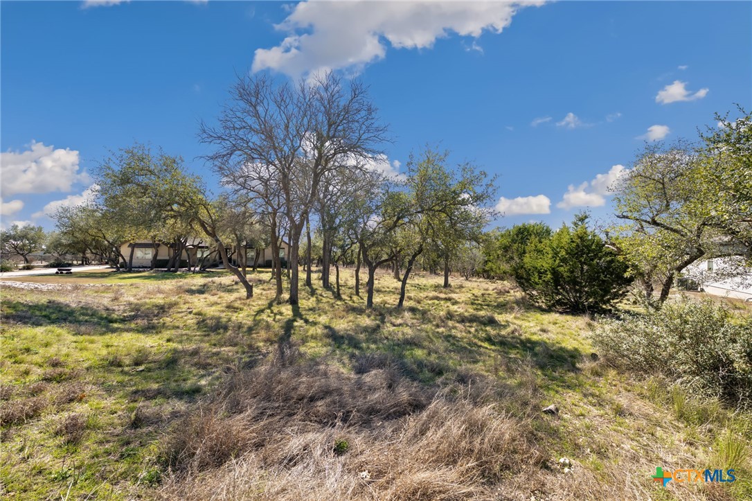 913 Cross Oak