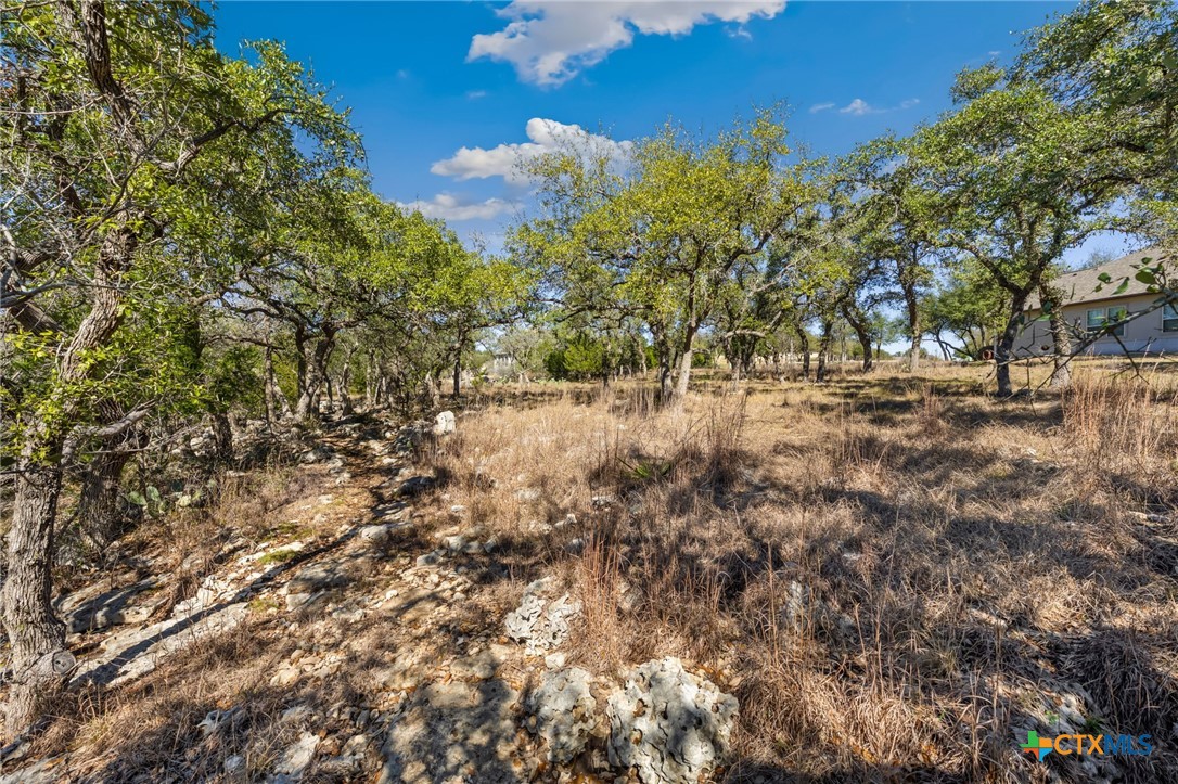 913 Cross Oak