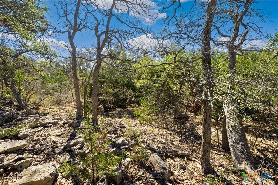 913 Cross Oak
