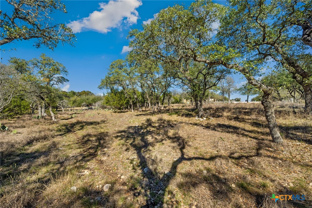 913 Cross Oak