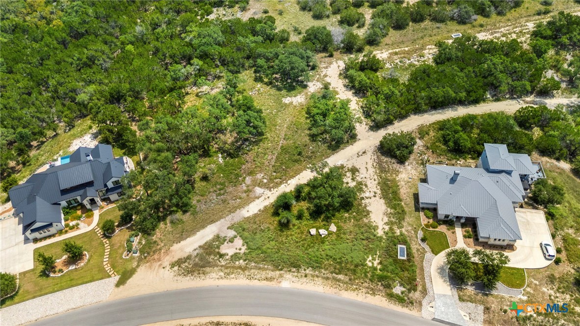 Aerial view of two gray-roofed homes beside a wooded, undeveloped strip and curving road.