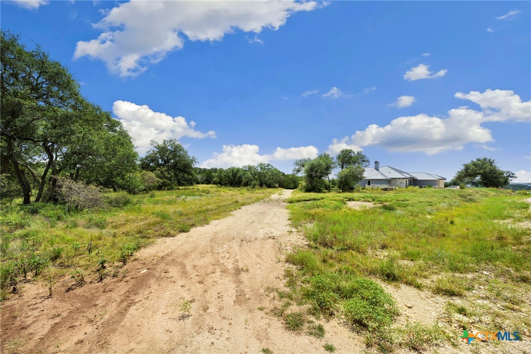 Open grassy property with a dirt driveway leading toward a single-story house and mature trees.