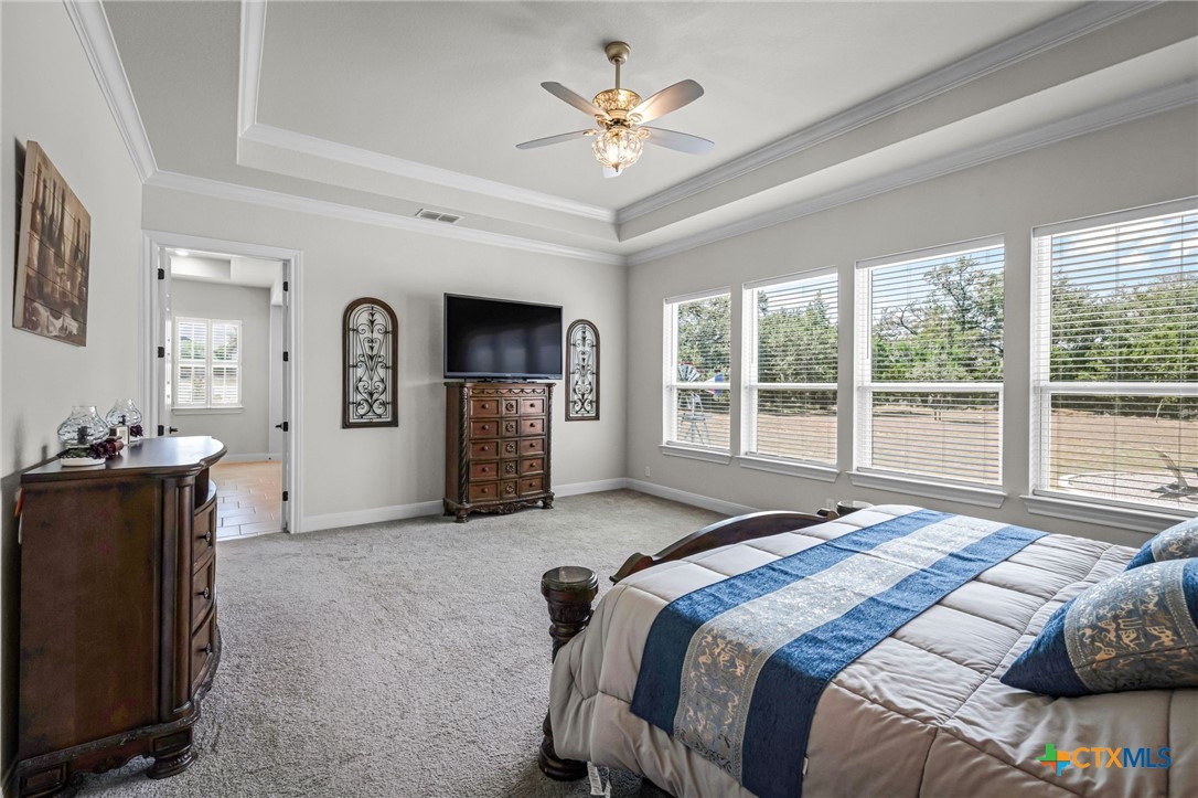 Furnished bedroom with a tray ceiling, large windows, and a television on a wooden chest.