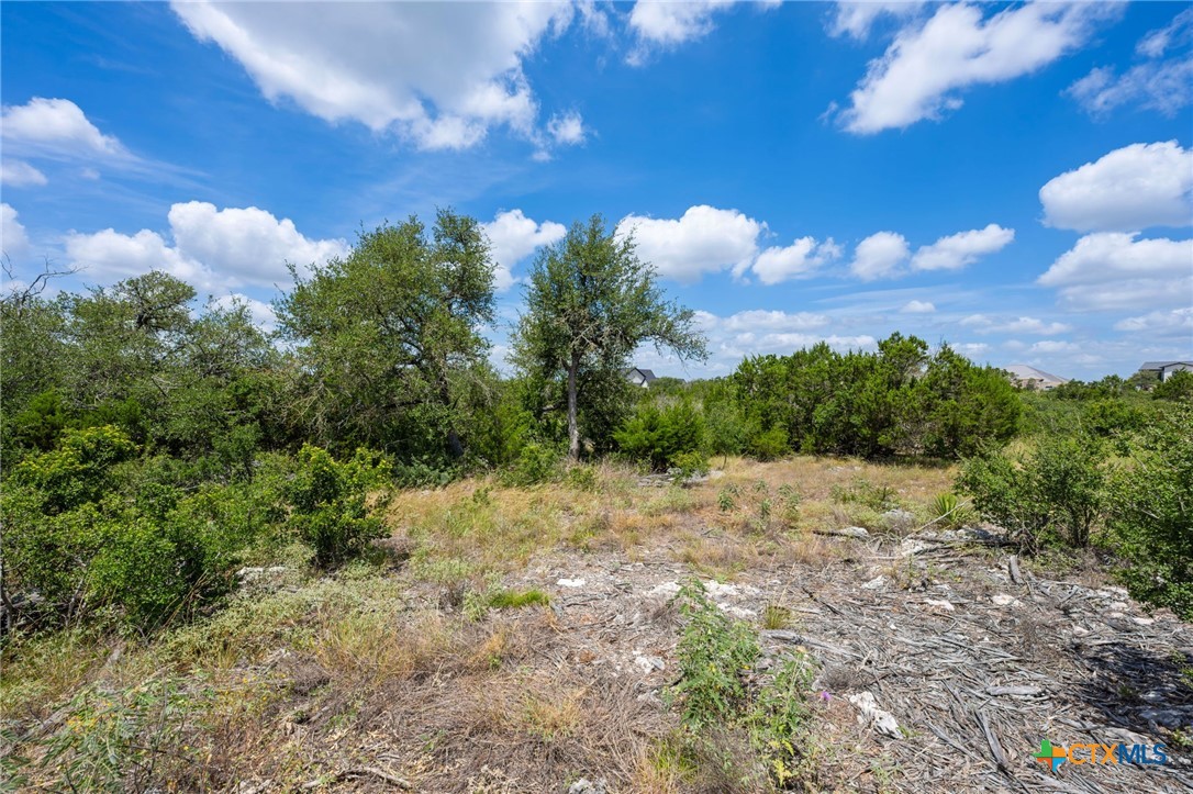 Undeveloped lot with mature trees, brush, and distant homes under a blue sky.