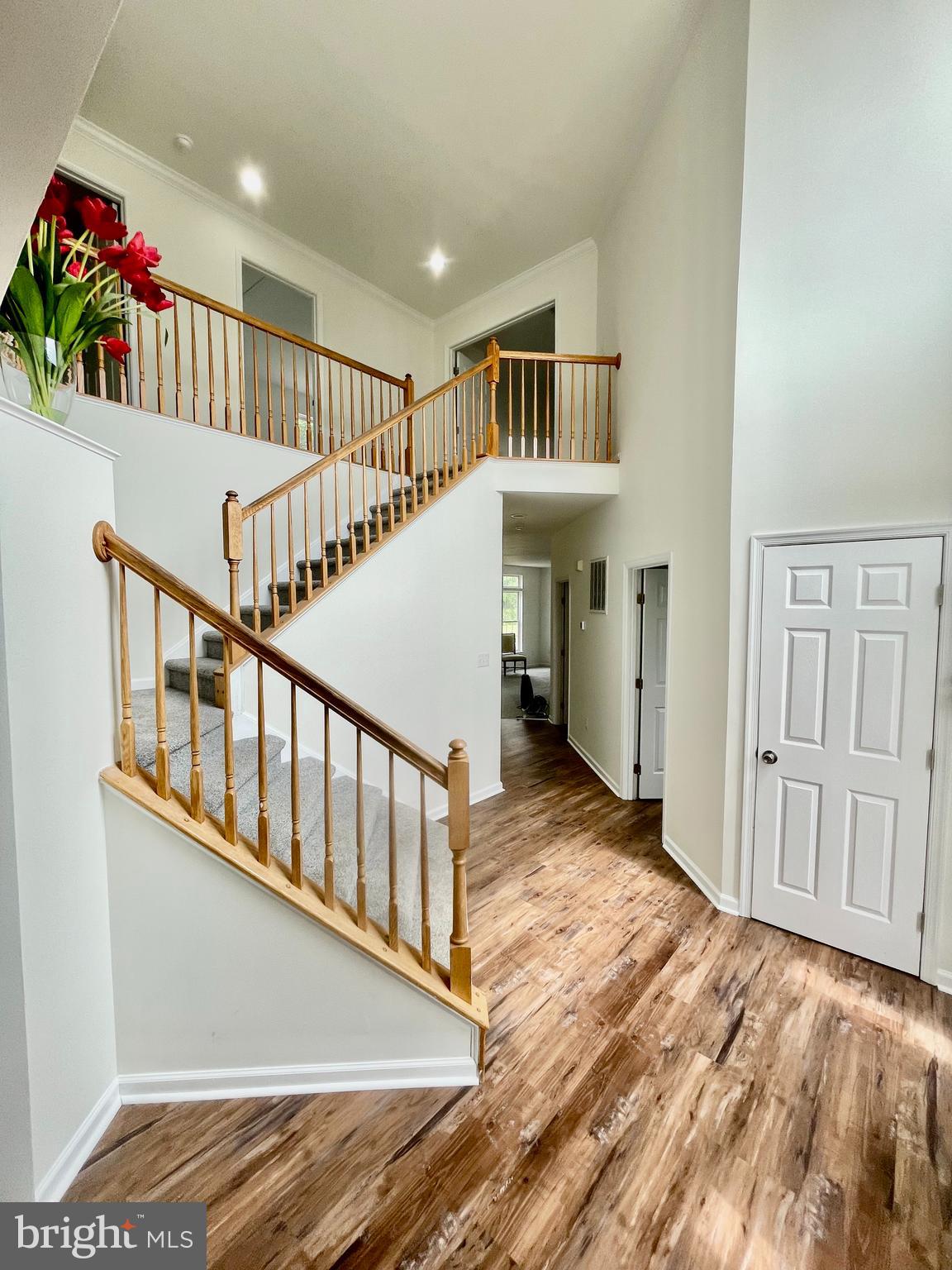 282 Tidewater Cir