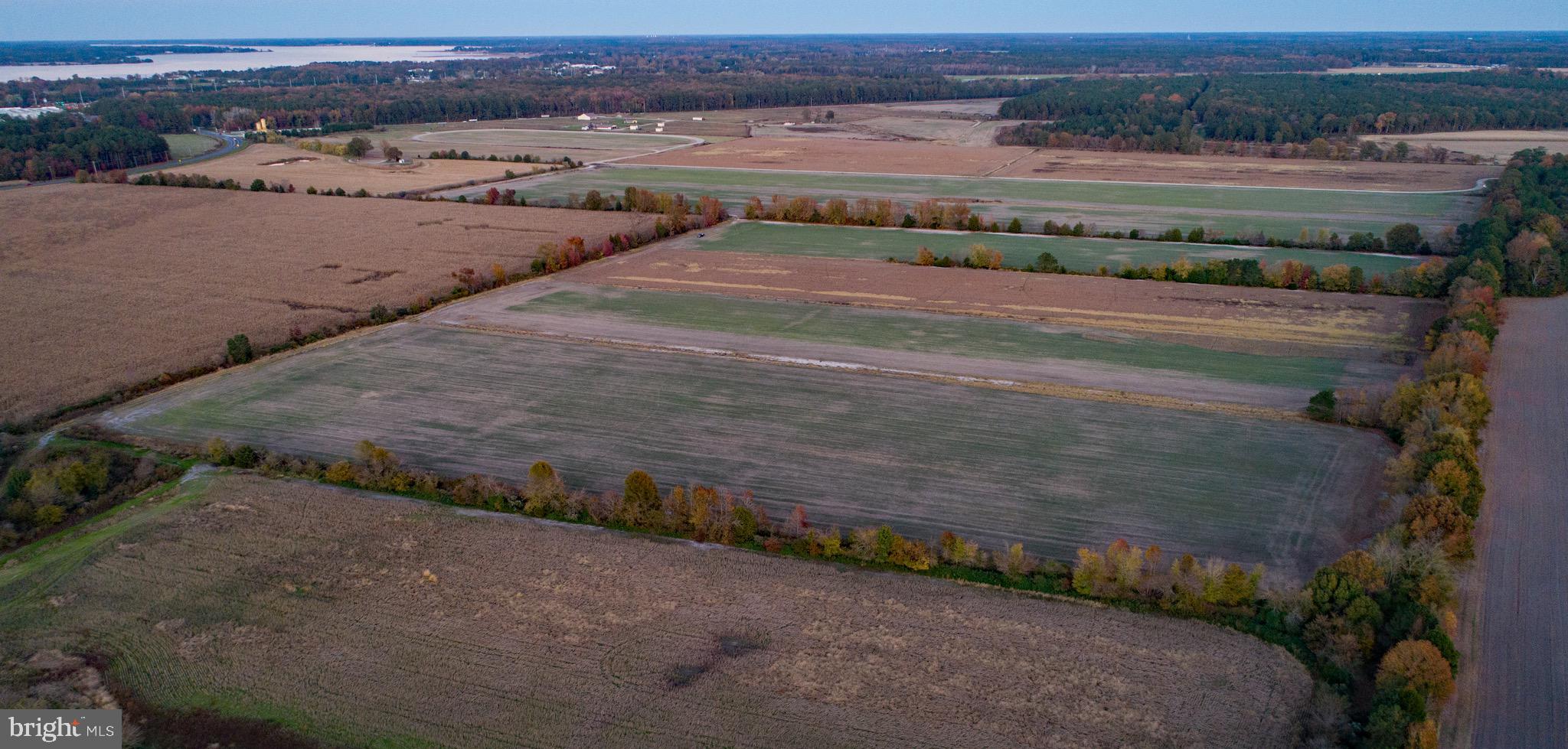Rt.16 South And Woods Road