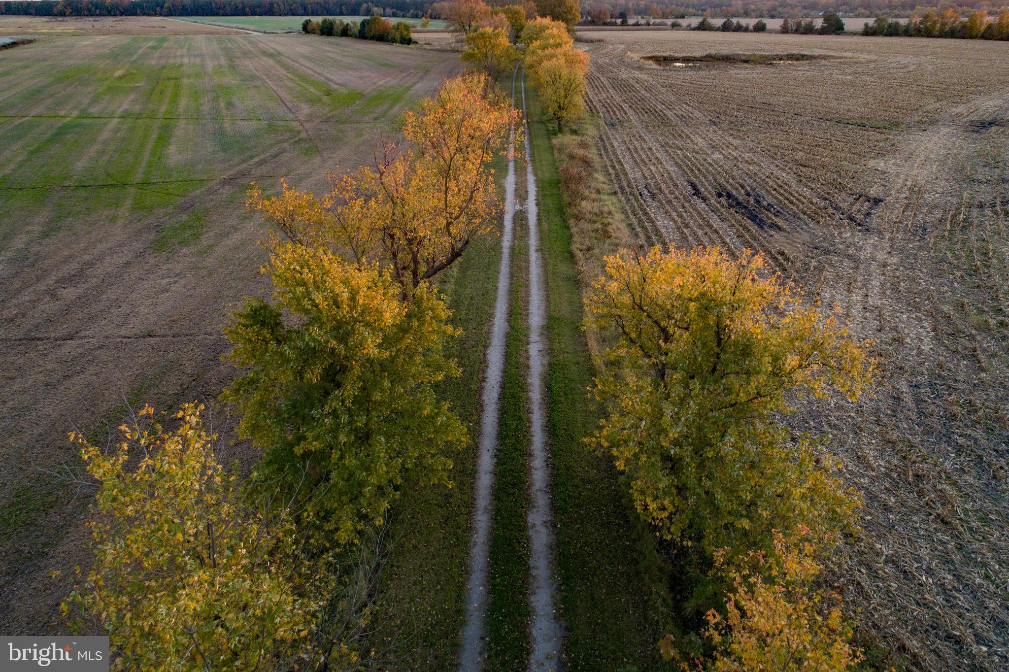 Rt.16 South And Woods Road