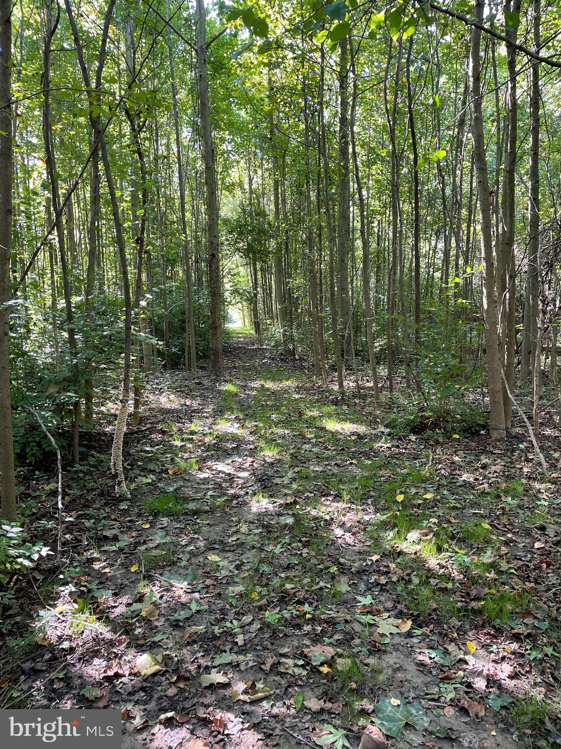 646 Roberts Station Rd