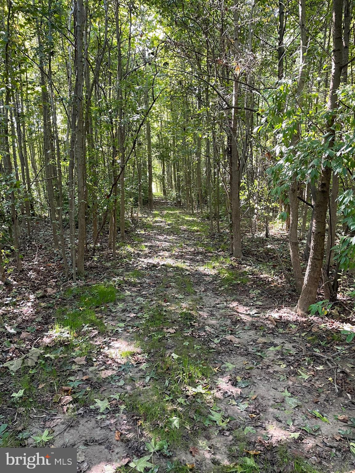646 Roberts Station Rd
