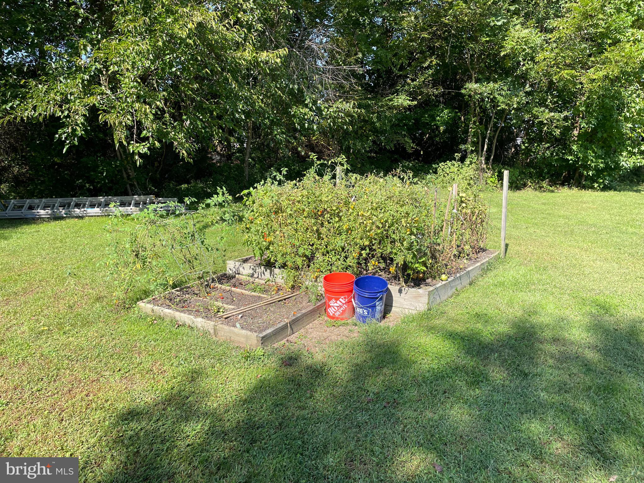 646 Roberts Station Rd