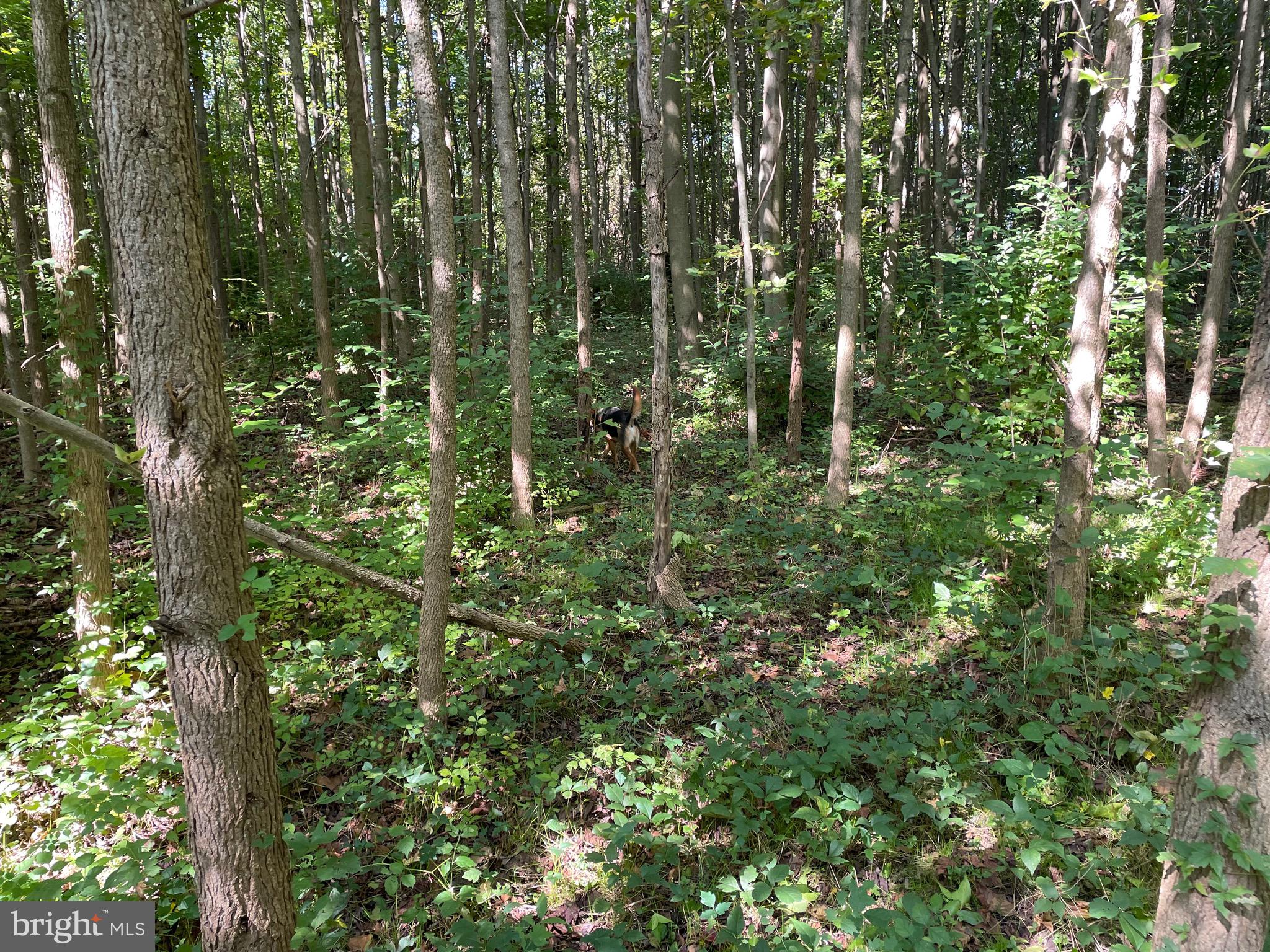 646 Roberts Station Rd