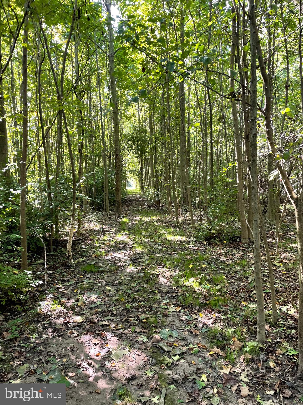 646 Roberts Station Rd